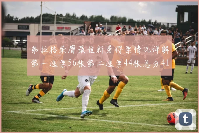 弗拉格荣膺最佳新秀得票情况详解第一选票56张第二选票44张总分412分