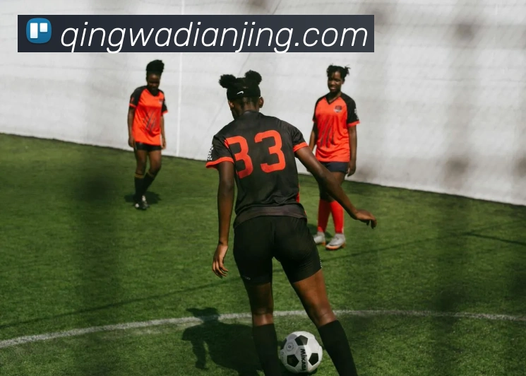 数据防护可视化